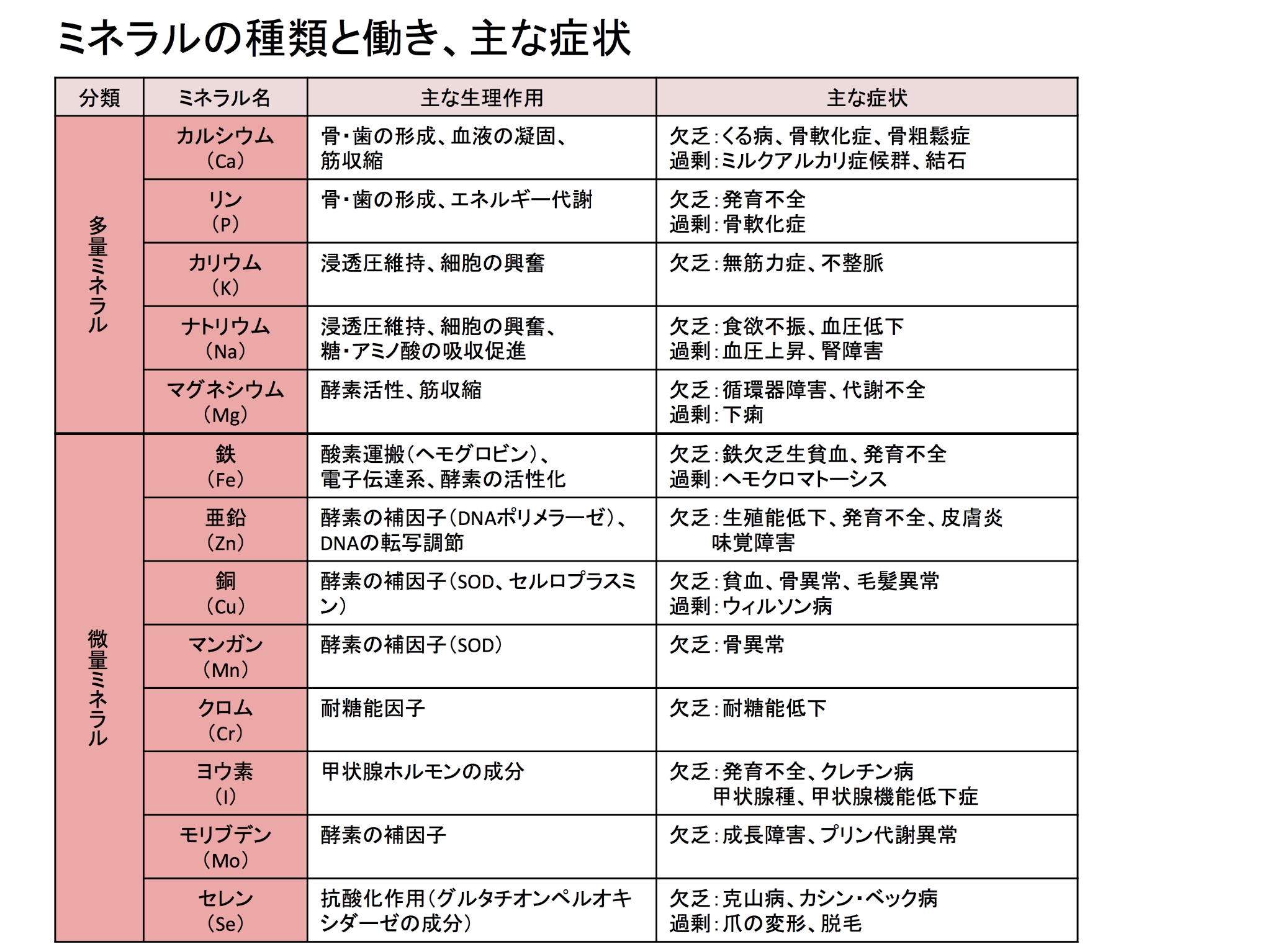 株式会社Feプロ-食育コンサルティング-